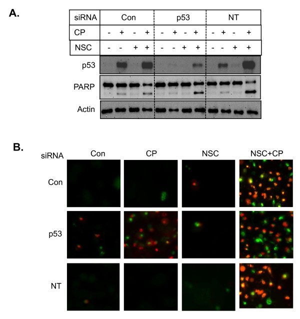 figure 6_53