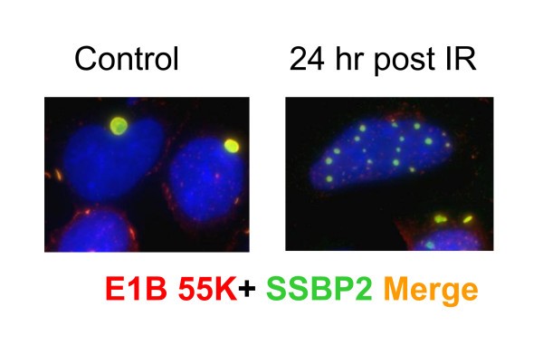 figure 4_55