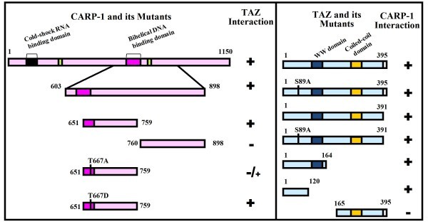 figure 4_56