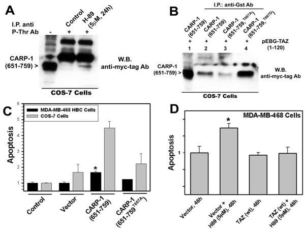 figure 5_56