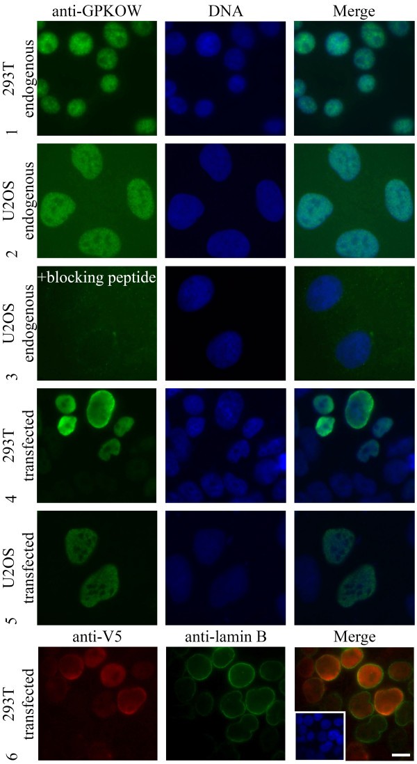 figure 3_79