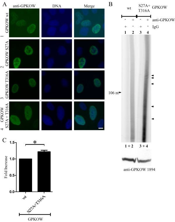 figure 6_79