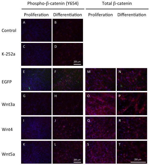 figure 10_82