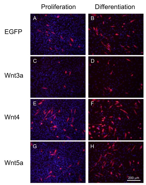 figure 2_82