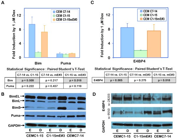 figure 4_81