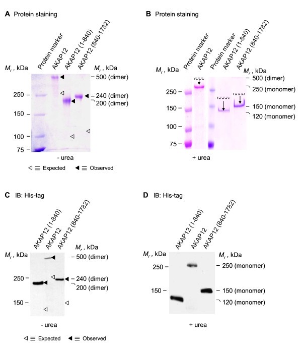 figure 1_72