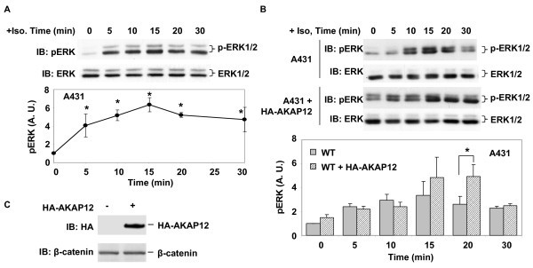 figure 5_77