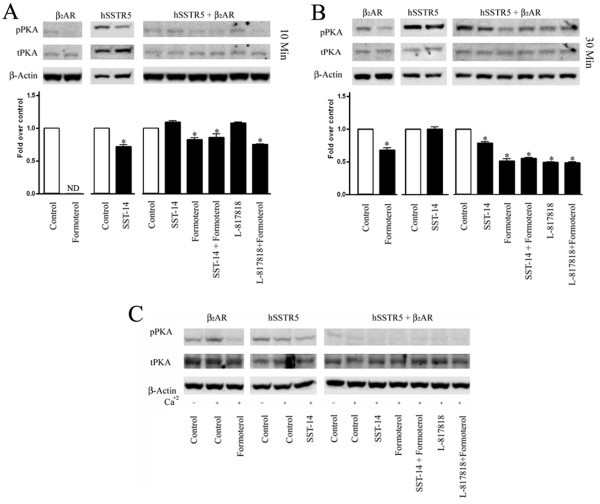 figure 7_78