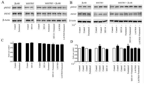 figure 9_78