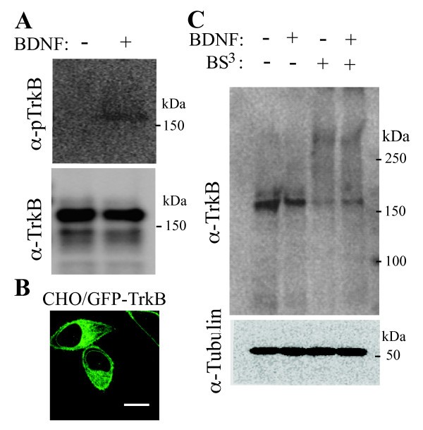 figure 1_83