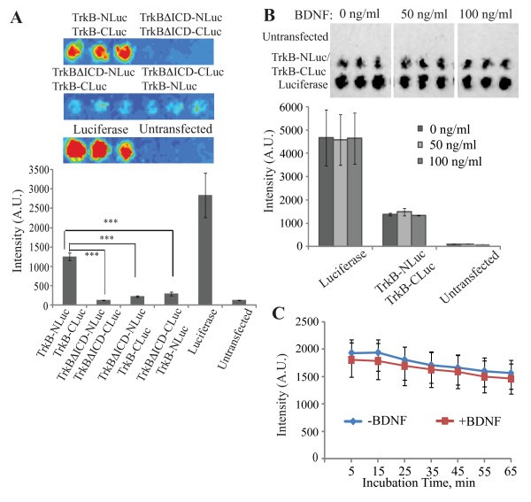 figure 3_83