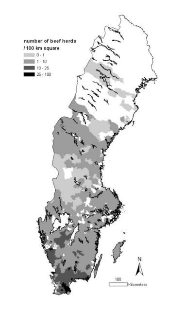 Spatial Patterns Of Bovine Corona Virus And Bovine Respiratory Syncytial Virus In The Swedish Beef Cattle Population Acta Veterinaria Scandinavica Full Text