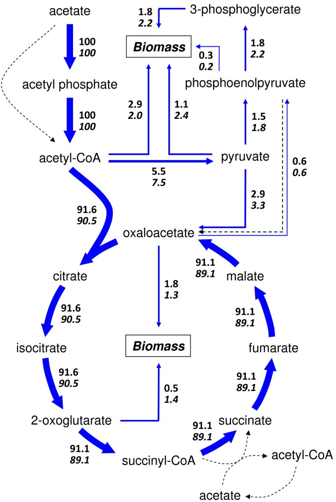 figure 8