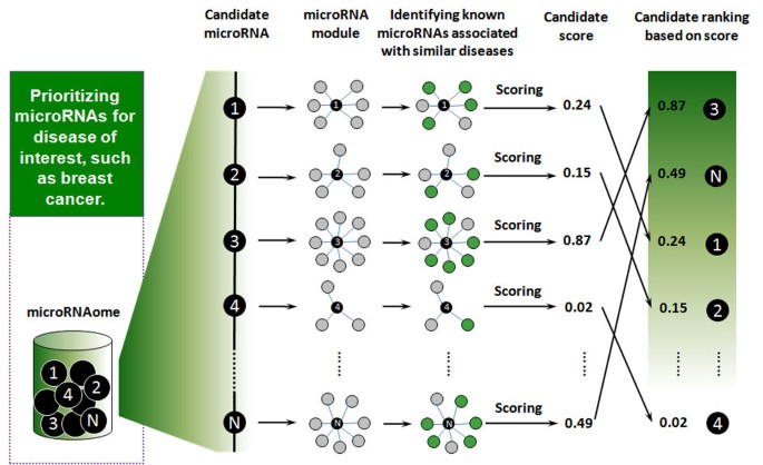 Prioritization of disease microRNAs through a human phenome-microRNAome  network | BMC Systems Biology | Full Text