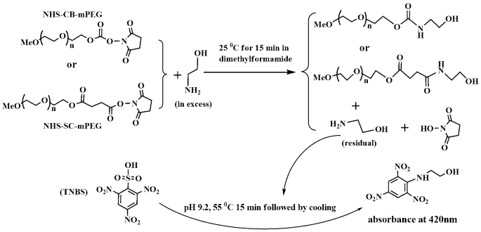 Facile spectrophotometric assay of molar equivalents of N-hydroxysuccinimide  esters of monomethoxyl poly-(ethylene glycol) derivatives | BMC Chemistry |  Full Text