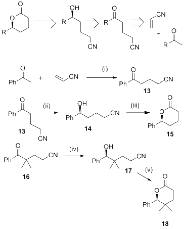 scheme 5