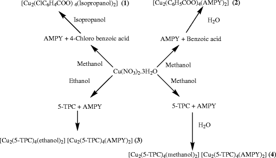 scheme 1