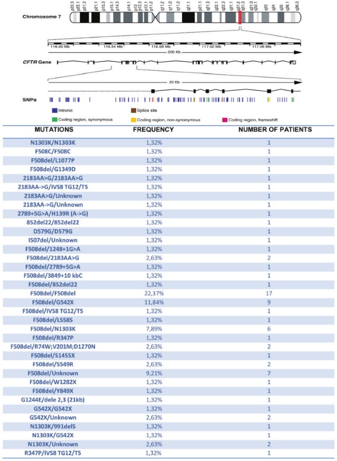 Analysis Of Cystic Fibrosis Gene Mutations In Children With Cystic Fibrosis And In 964 Infertile Couples Within The Region Of Basilicata Italy A Research Study Journal Of Medical Case Reports Full Text