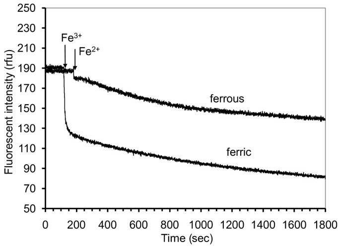 figure 8