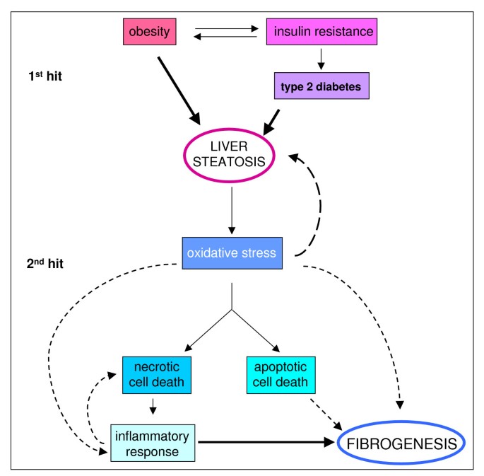 figure 21