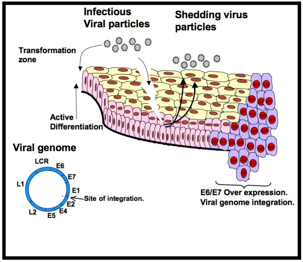 figure 1_10