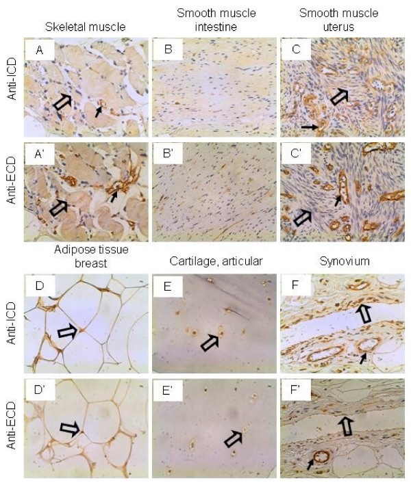 figure 10_19