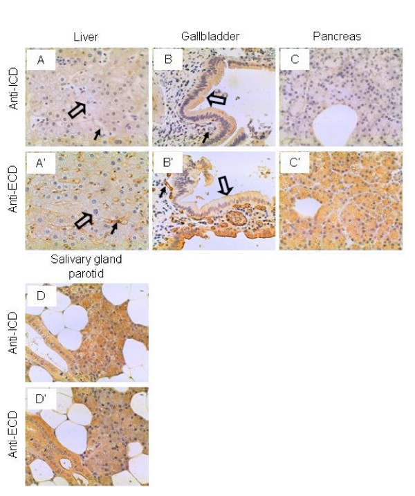 figure 7_19