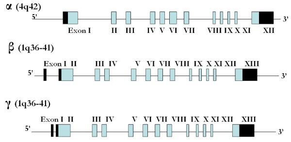 figure 2_55