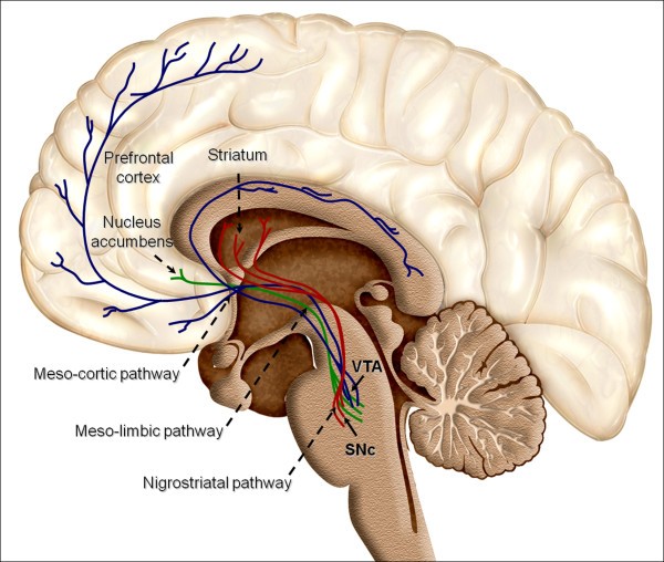 figure 1_91