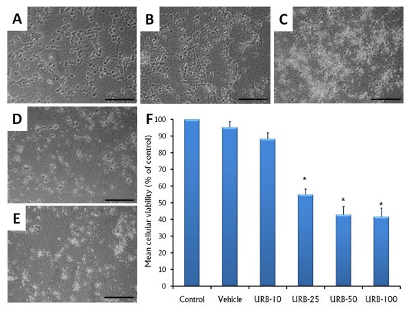 figure 1_130