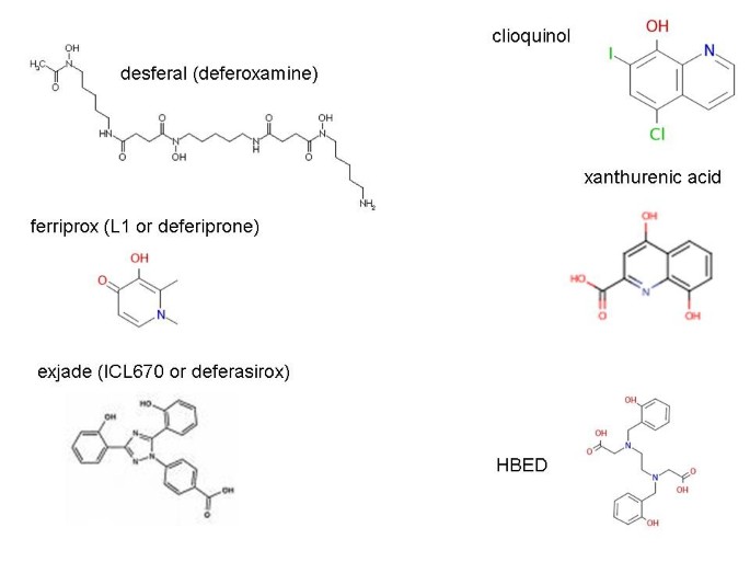 Iron behaving badly: inappropriate iron chelation as a major contributor to  the aetiology of vascular and other progressive inflammatory and  degenerative diseases | BMC Medical Genomics | Full Text