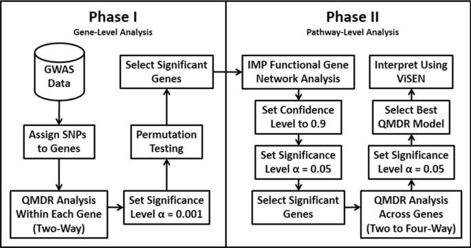 Computational genetics analysis of grey matter density in Alzheimer’s disease