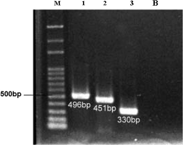figure4