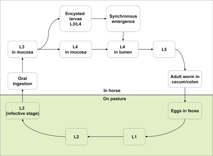 figure1
