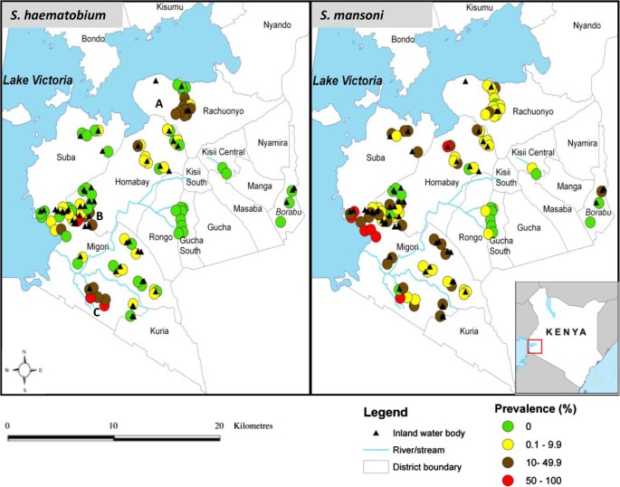 schistosomiasis kenya)