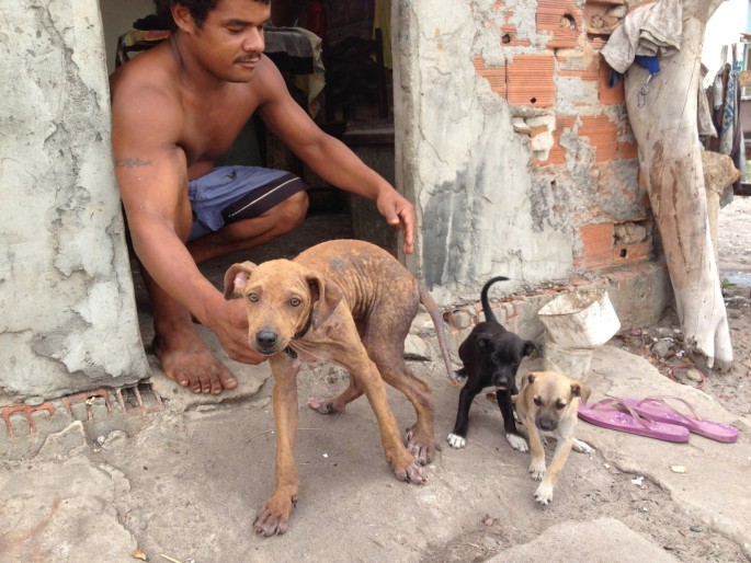 Sex with girls and dogs in Salvador