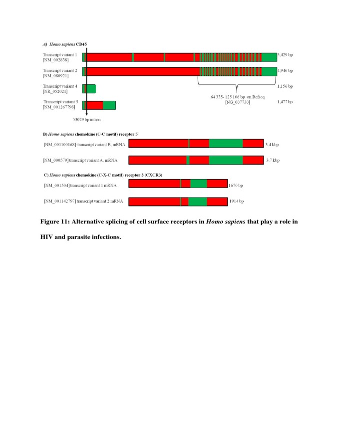 The role played by alternative splicing in antigenic variability in human  endo-parasites, Parasites & Vectors