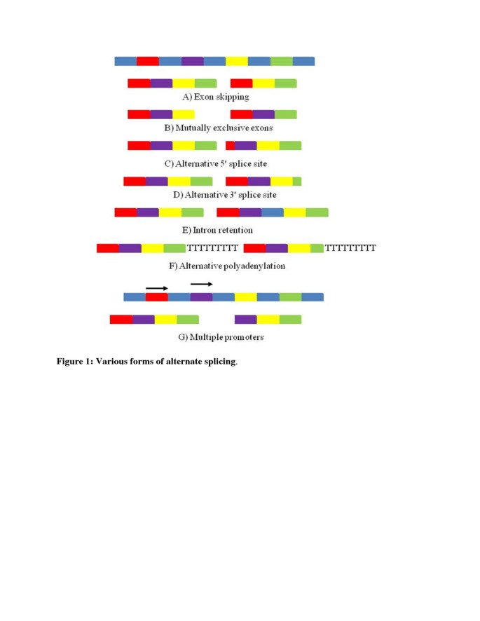 The role played by alternative splicing in antigenic variability in