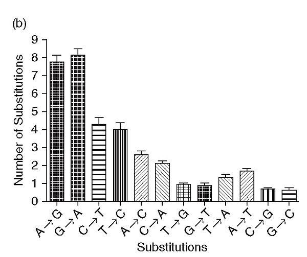 figure 2_6