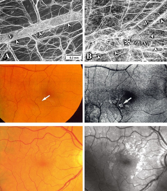 figure 24