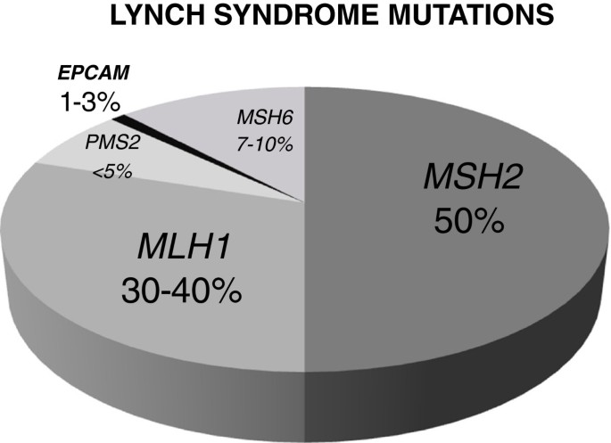 lynch syndrome