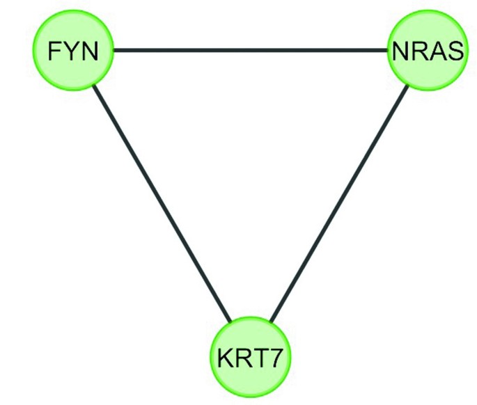 figure 17