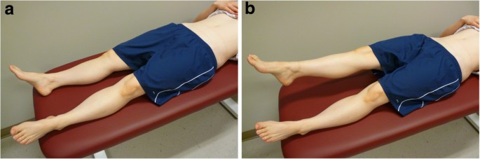 Inter-rater agreement, sensitivity, and specificity of the prone hip  extension test and active straight leg raise test | Chiropractic & Manual  Therapies | Full Text
