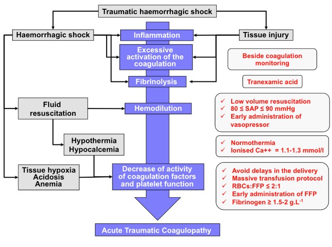 hypovolemic shock chart