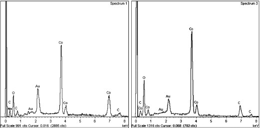 figure 23