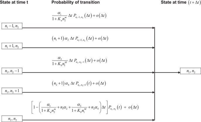 Stochasticity And Noise Induced Transition Of Genetic Toggle Switch Journal Of Uncertainty Analysis And Applications Full Text