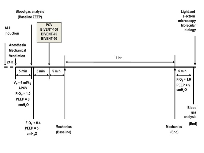 Biphasic positive airway pressure minimizes biological impact on lung  tissue in mild acute lung injury independent of etiology | Critical Care |  Full Text