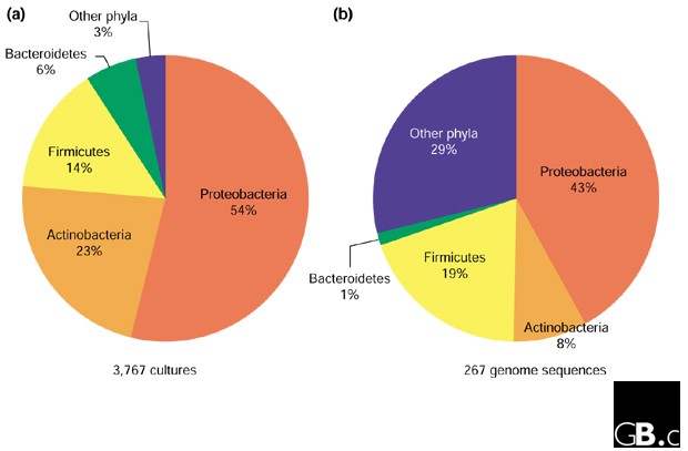 Exploring prokaryotic diversity in the genomic era | Genome Biology | Full  Text