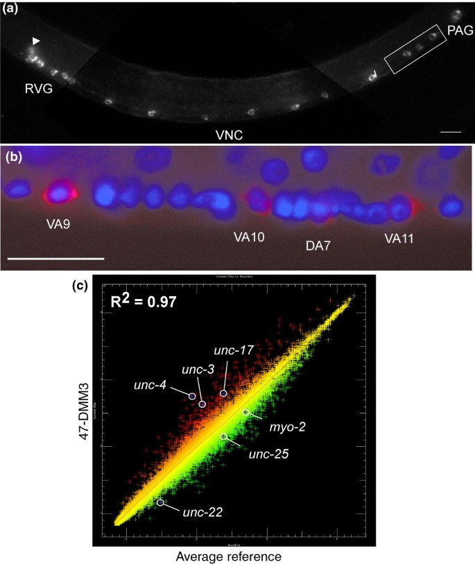 figure 11