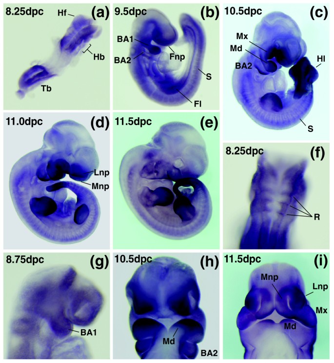 figure 9